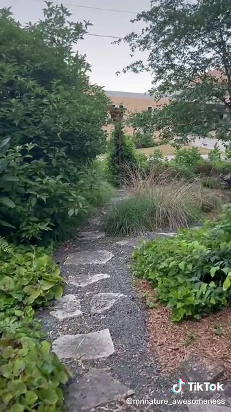 Reply to @jimm.ith There is still more I want to do, but that’s the story of a gardener’s life #garden #nativeplants #nature #gardentour #flowers #thisoldhouse #minnesota