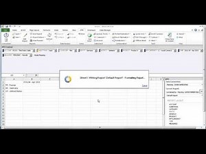 *REC Command: SAP BPC Logic Script