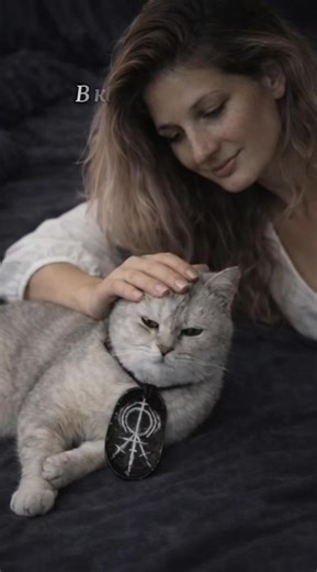 #котик #котикпомошник #мійкіт #кіт #амулети