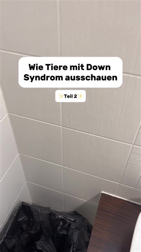 Wie Tiere mit Down Syndrom ausschauen!😨 #fakten #interessant #lernen #welt #tiere