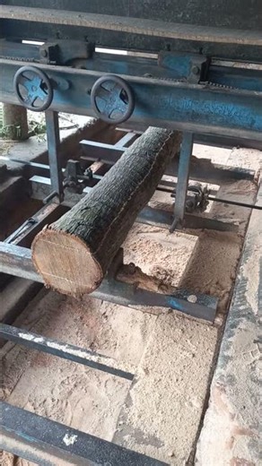 Amazing Coconut wood catting 🪵🪵#Viralshort#shortvideo #wood