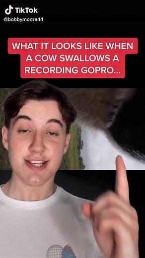 What Happens When a Cow Swallows a GoPro Camera?