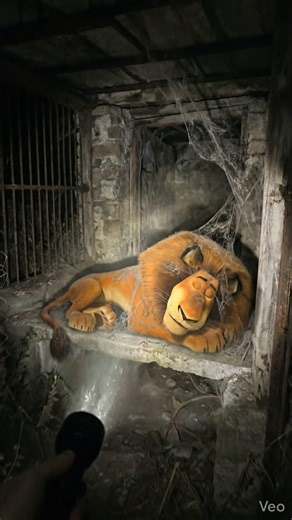 madagascar alex asleep