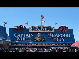 Wharf DC Seafood Market, Washington DC Attractions