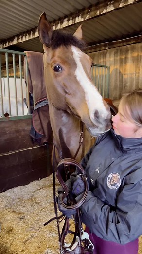 Dolly always likes a #kiss before she gets tacked up! #pony #ponylove