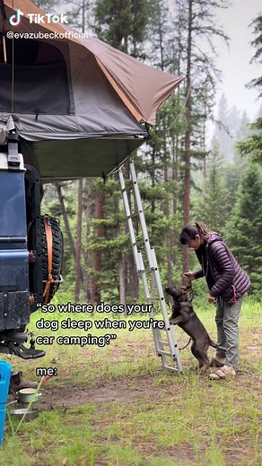 Eva zu Beck Dog: Where Does Your Dog Sleep When You're Car Camping?