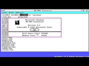 Windows 3.0 Build 14