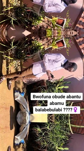 Prince Pascal (@prince.pascal12)’s videos with original sound - shaltonkarma