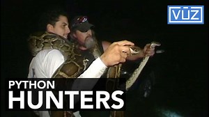 Python hunter wants to bring wildlife back to the Everglades