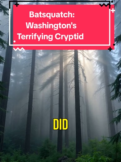 The Mystery of the Batsquatch: Washington's Terrifying Cryptid #Batsquatch #Cryptid #WashingtonState #MountStHelens #Legend