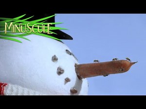 Minuscule - Brooms sweep / Coup de balais (Season 2)