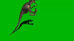 clip-1095397187-velociraptor-attacking-on-green-screen