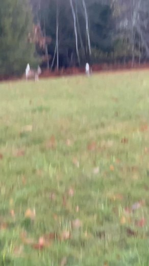 This Morning..!.. | Seth Raven