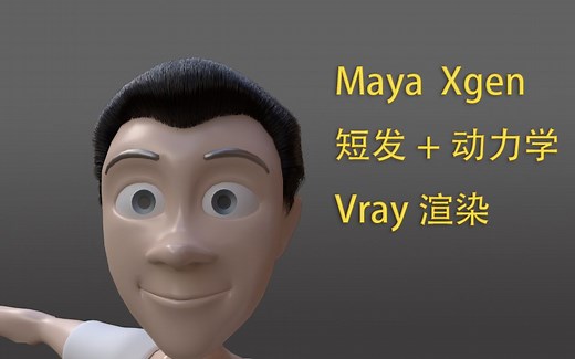 Maya Xgen短发制作技巧 Vray Hair Next毛发渲染
