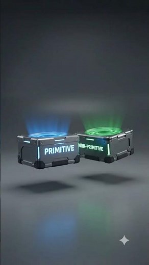 Primitive vs Non-Primitive Explained Visually ❤️