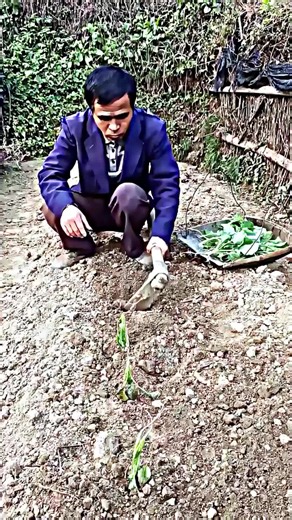 Top Funny Chinese Videos You Need to Watch in 2025