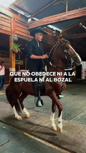 A Golpe de Mula - Alan Ramírez: Letra y Karaoke