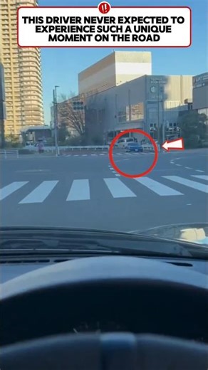 unexpected signal reply:)‼️ #shorts