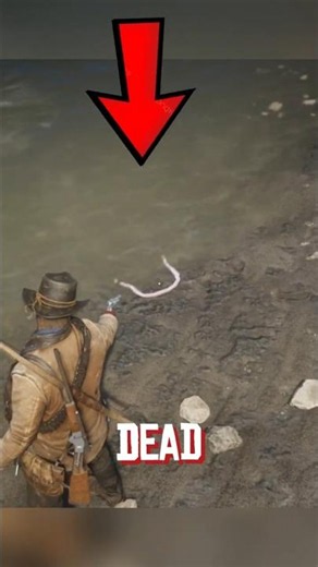 Will Birds Eat a Dead Snake in RDR2? 🐍🦅