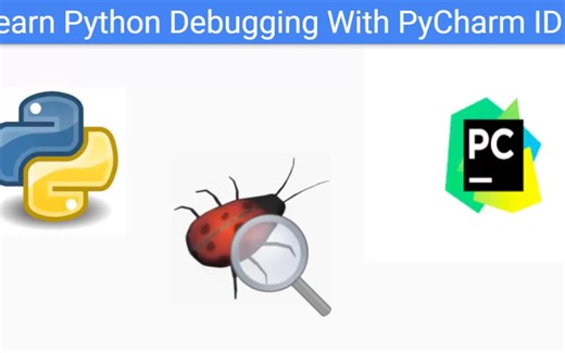 使用 PyCharm IDE 学习 Python 调试 Learn Python Debugging With PyCharm IDE