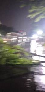 ROAD OBSTRUCTION ALERT! Please be informed of a fallen tree along the deceleration lane (rightmost lane) of the northbound lanes of Osmeña Boulevard from P. del Rosario Street near the Central Bank of the Phils. All motorists are advised to take alternative roads to Cebu City north. Keep safe, amidst the heavy rainfall, Cebu City. Video from on-duty and on-site Traffic Enforcer Catong. Snappy Salute Chief 🫡 #CCTORoadSafety #RainorShineRoadSafetyOfficers | Cebu City Transportation Office