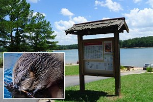 Today's Video Headlines