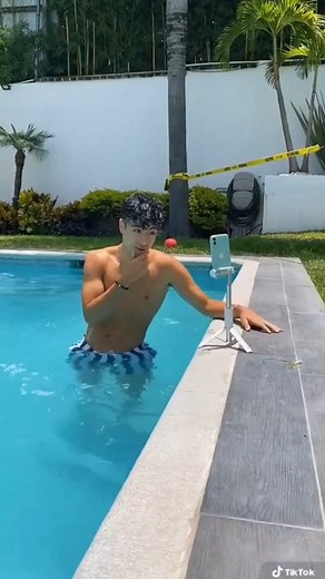 El cocodrilo darrechi 🐊 | Naim Darrechi Singer