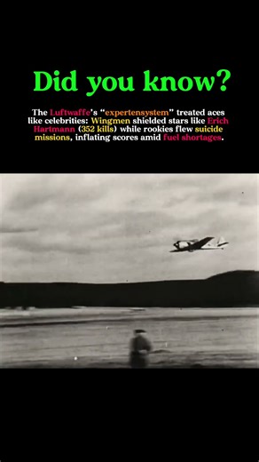 The Dark Secret Behind the Luftwaffe’s Top Aces