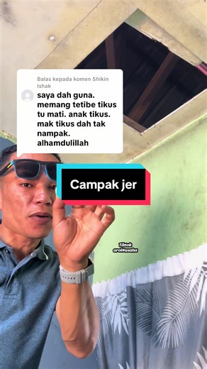 Effective Solutions for Rodent Control