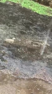 Hail in St. Kitts this morning. #XtremeRadio | Xtreme104svg