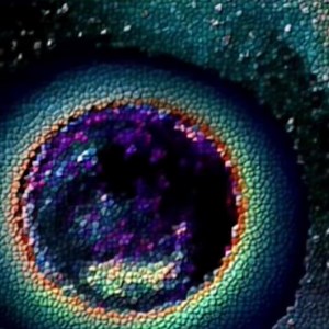 Rettiliani- gli alieni più crudeli che vivono tra noi 07:29 | Civiltà perdute tracce di Atlantide