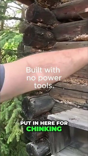 This Off-Grid Alaska Cabin Was Built By Hand to Survive -50F