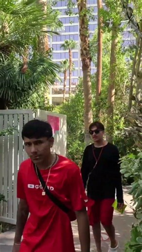 Flamingo Wildlife Habitat in Las Vegas Nevada USA | Nature Travel Video 2026 #shortsyoutube