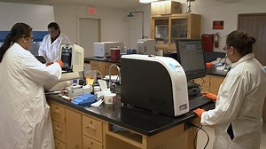 Native BioData: Genetics Research For Natives, By Natives