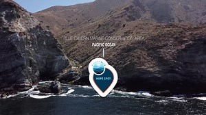 This Earth Day, we are excited to celebrate our blue planet by sharing a new Hope Spot - the Blue Cavern State Marine Conservation Area! 🌎🌊 Just 22 miles off the coast of Los Angeles lies Santa Catalina Island, also known as Pimuu'nga or Pimu. As the only one of the eight Channel Islands with a permanent human presence, Catalina Island stands as a testament to the delicate balance between human habitation and natural preservation. Surrounding this island paradise are the Blue Cavern Onshore an