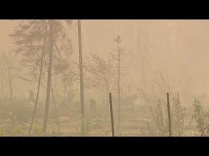 Smoke from Canadian wildfires spreads into US Midwest | REUTERS