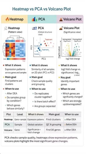 Heatmap vs PCA vs Volcano Plot | RNA-seq Visualization Explained