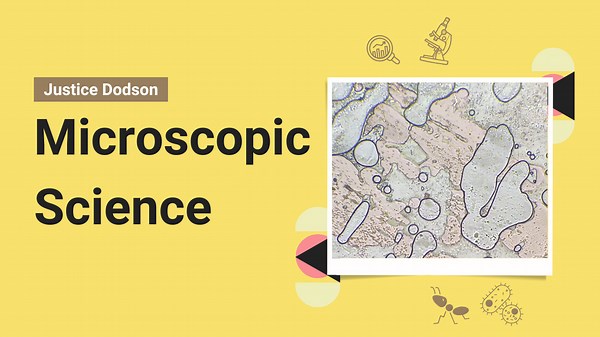 RIP to My Little Oxygen Donuts: A Microscopic Look at Hemolysis