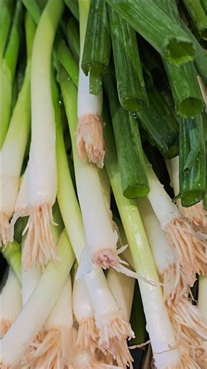 How to keep green onion fresh #freeze #easy #food #bestway #yummy #superonion #onionking