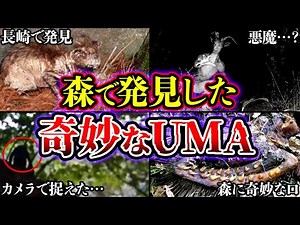 【ゆっくり解説】森で発見された得体の知れないUMA・未確認生物がヤバすぎる…!!!