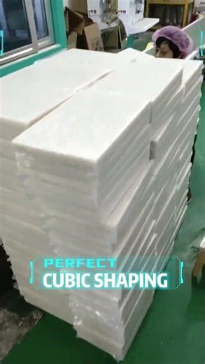 Dual-Station Vacuum Packing Machine | Perfect Cubic Shaping