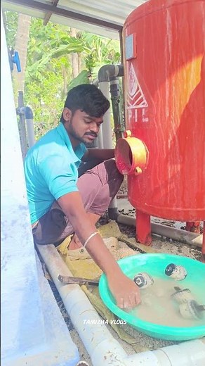 Sand Filters Rework// Gravel Filter Cleaning Tamil // Mushroom Filter Cleaning Tamil