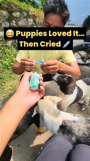 Puppies Loved Injection… Until They Got It 😂🐶 | Funny Mini Vlog #shorts