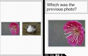 A Little Bit of... Dr Kawashima’s Brain Training™: Arts Edition