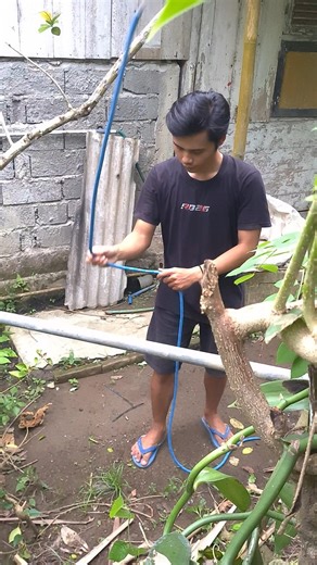 Fast Knot, Perfection Loop