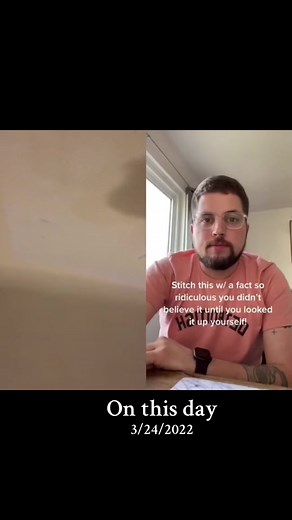 Amazing Truth About Spiders in Our Atmosphere