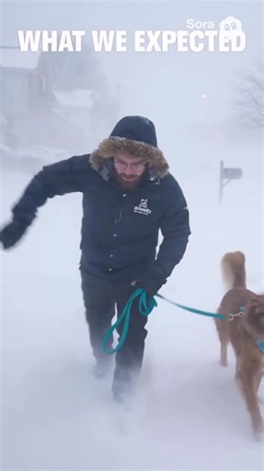 Dan's Pet Care on Instagram: "We were READY for a full blown snow apocalypse ❄️ Movie trailer level drama. Survival mode activated. Dan in the Dan’s Pet Care jacket braving the storm like it’s Everest. And then… Reality happened 😂 Dogs didn’t care. The walk was normal. The drama was entirely in our heads. If you grabbed adorable snow photos or videos of your dog, don’t keep them to yourself 👀 Share your snow walk content for MORE entries into our giveaway! Tag @danspetcare and he