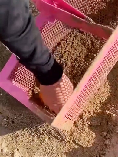 California Beach Cleanup: Discovering Hidden Treasure