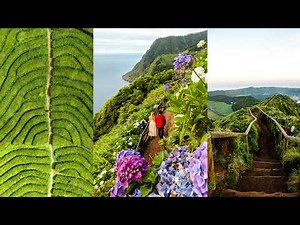 The PERFECT 5-Day São Miguel Itinerary (Azores Travel Guide)