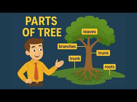 Parts of a Tree for Kids in English | Roots, Trunk, Branches, Leaves | Kids Learning Video